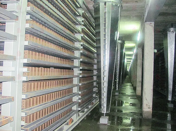 Asciugatrice di segnatori di cicloni per l'essiccazione di mattoni di argilla in lavorazione 1