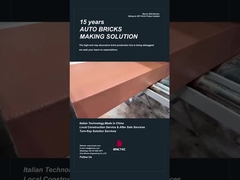 Immissione in servizio della linea di produzione di mattoni decorativi Brictec